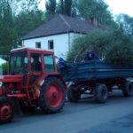 Maienstecken 2005