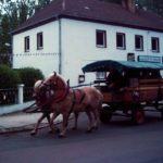 Maienstecken 2005