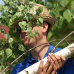 103. Pfingstbier in Roßbach