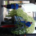 103. Pfingstbier in Roßbach