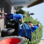 103. Pfingstbier in Roßbach