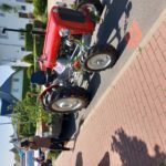 103. Pfingstbier in Roßbach