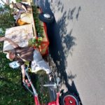 103. Pfingstbier in Roßbach