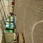 103. Pfingstbier in Roßbach